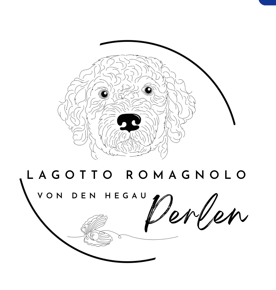 Lagotto Hegauperlen